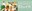 2020_CSLP_Banner_08.jpg